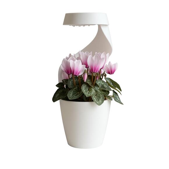 Eve,‎ Modern Self-Watering Desk Planter/Vase, Sculptural Drip Basin - Picture 1 of 8